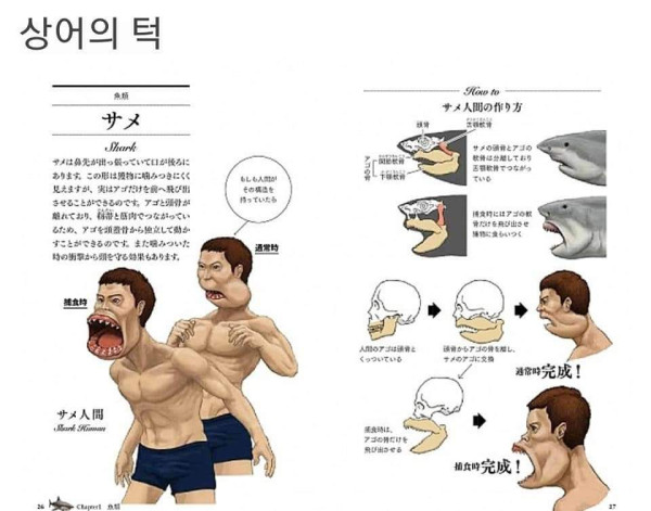 동물과 사람의 골격 비교