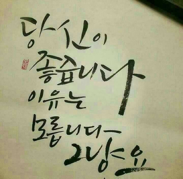 레슬러 필살기의 위험성