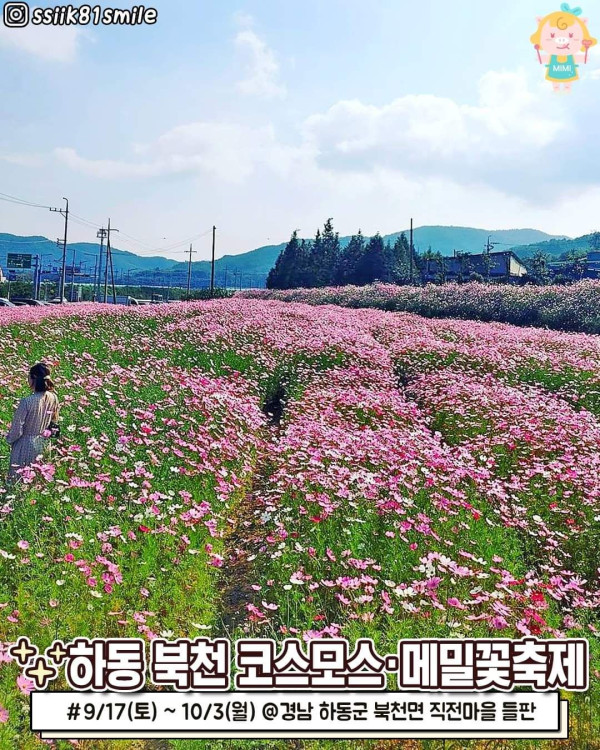 하반기 경상도 축제모음